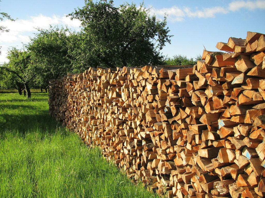 О приобретении дров в Глубокском опытном лесхозе